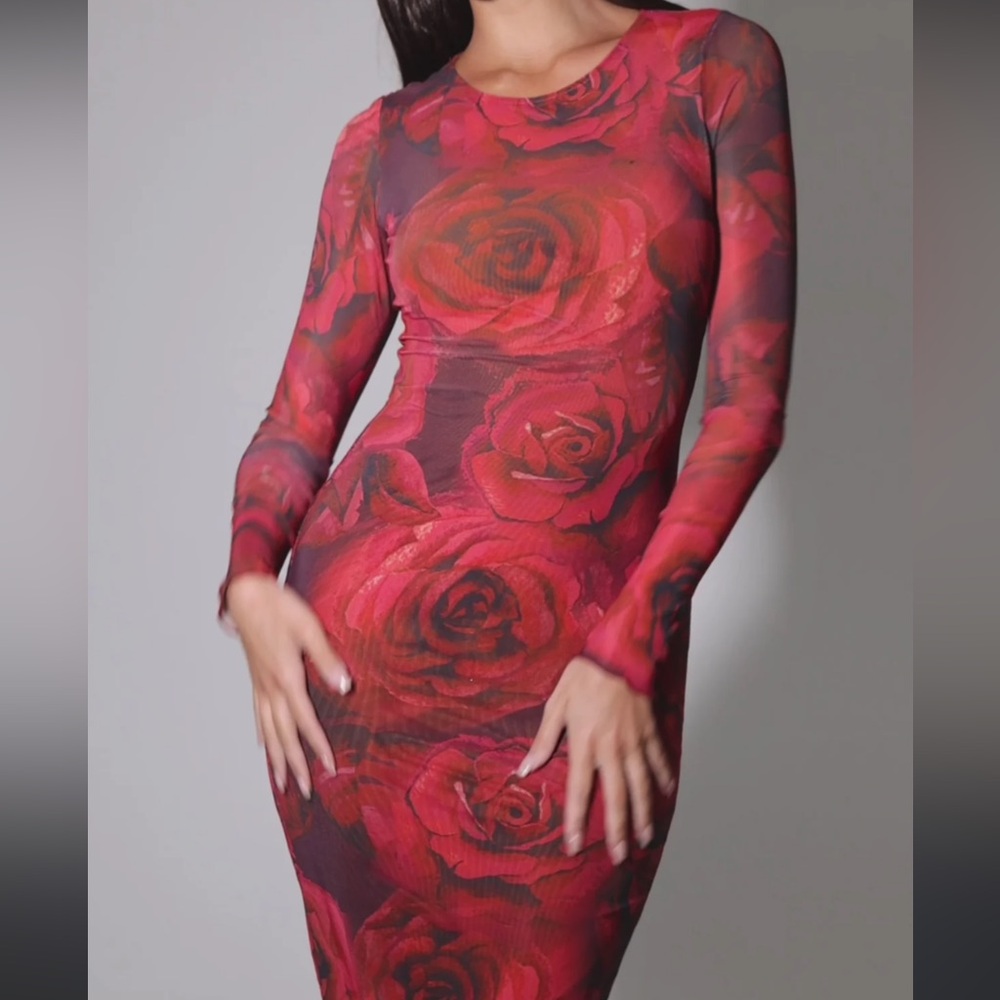 SLA rose long sleeve dress